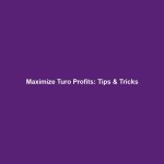 Maximize Turo Profits: Tips & Tricks