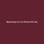 Maximizing Turo Car Rental with Tips