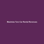 Maximize Turo Car Rental Revenues