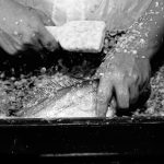 Amazon corporate job cuts artificial intelligence fu…