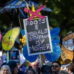 Elon Musk praise for Zohran Mamdani implications Exp…