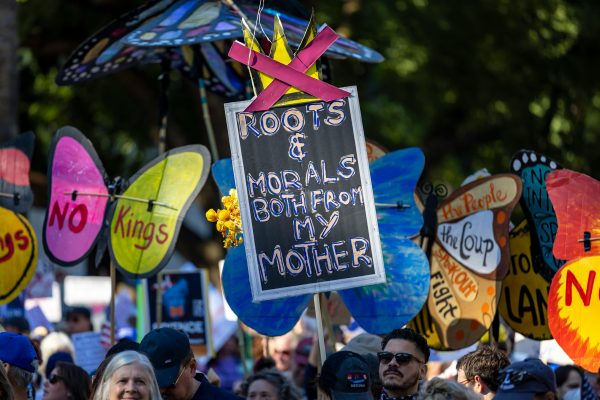 Elon Musk praise for Zohran Mamdani implications Exp…