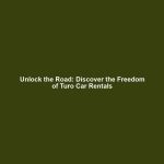 Unlock the Road: Discover the Freedom of Turo Car Rentals