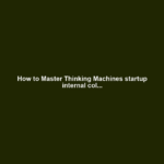 How to Master Thinking Machines startup internal col...