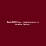 Tesla FSD China regulatory approval timeline Explain...