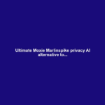 Ultimate Moxie Marlinspike privacy AI alternative to...