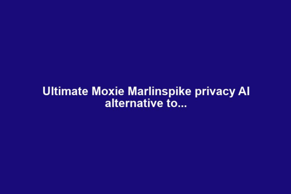 Ultimate Moxie Marlinspike privacy AI alternative to...