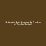 Unlock the Road: Discover the Freedom of Turo Car Rentals!