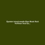 Epstein Island emails Elon Musk Reid Hoffman feud Ex...