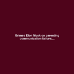 Grimes Elon Musk co parenting communication failure:...