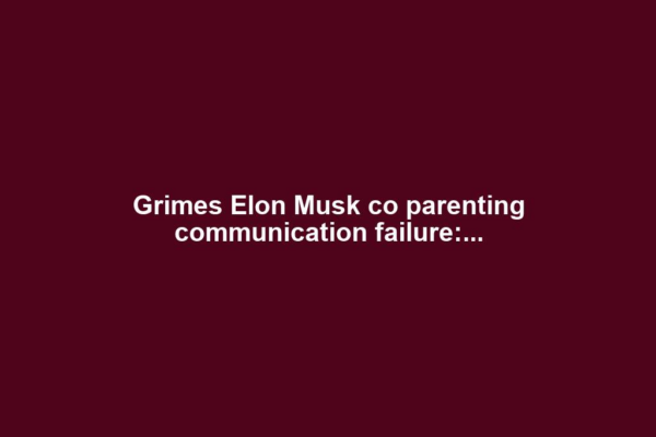 Grimes Elon Musk co parenting communication failure:...