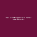 Tesla SpaceX supplier visits Chinese solar stocks: C...