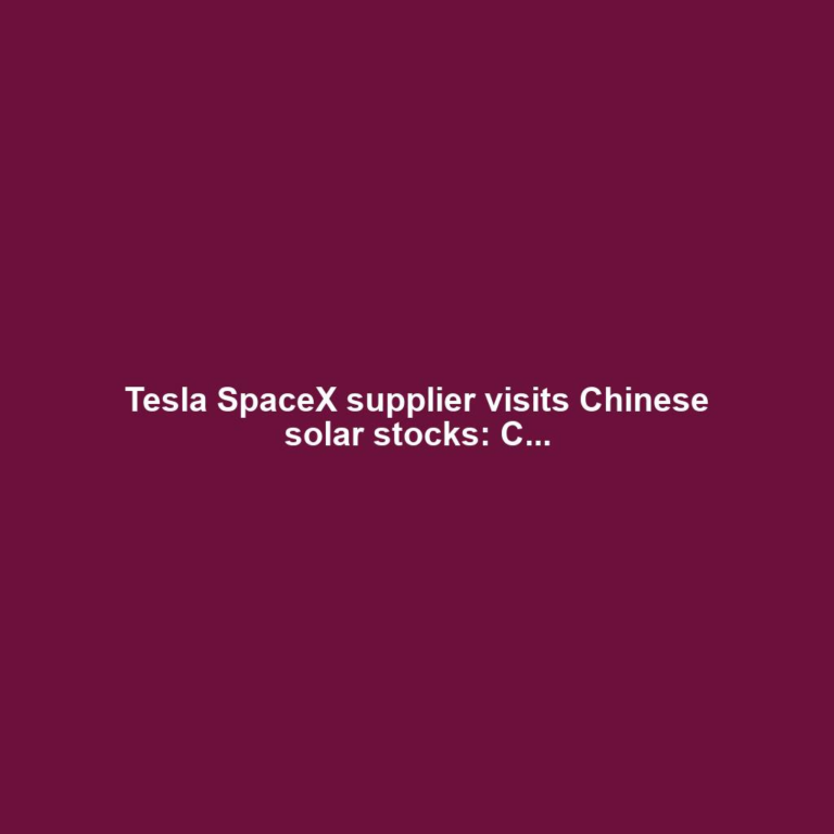 Tesla SpaceX supplier visits Chinese solar stocks: C...