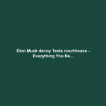 Elon Musk decoy Tesla courthouse - Everything You Ne...