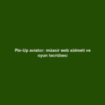 Pin-Up aviator: müasir web xidməti və oyun təcrübəsi
